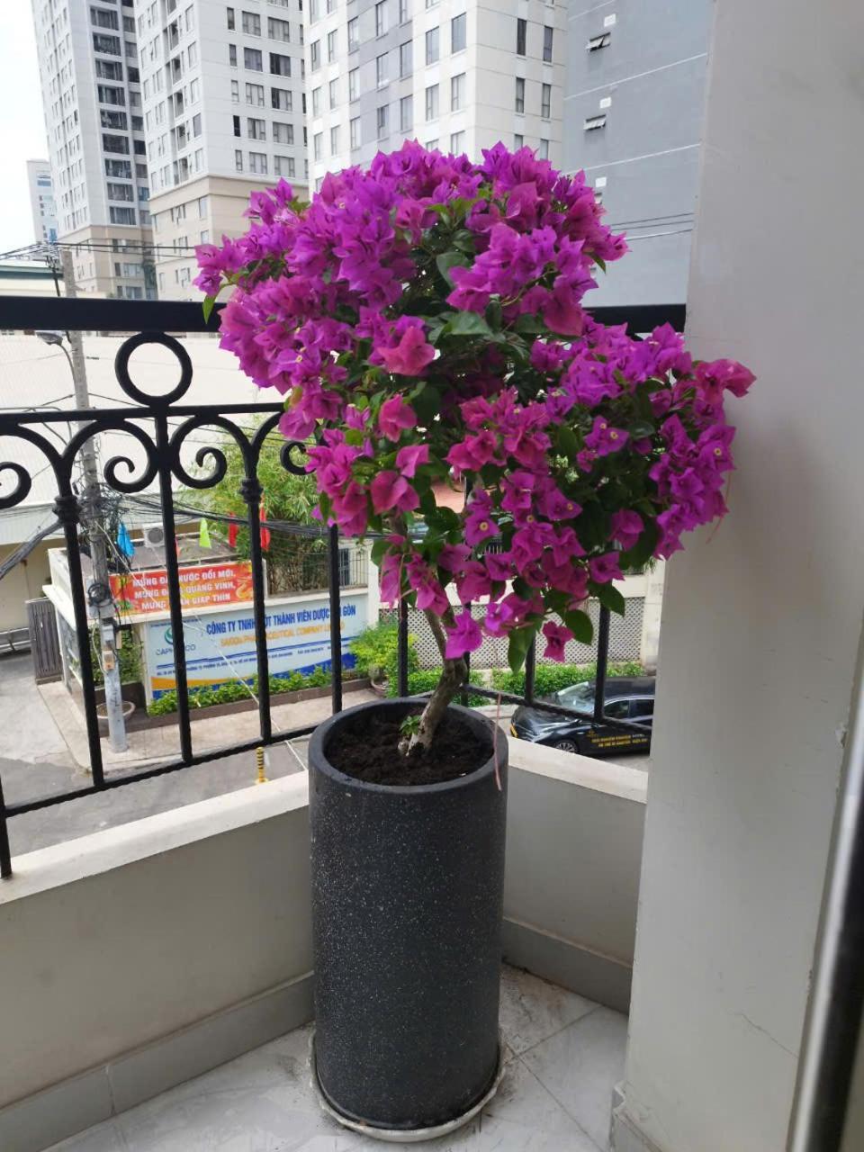 7 Apartment Bandar Ho Chi Minh Luaran gambar